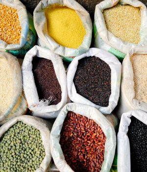 Agriculture & Food