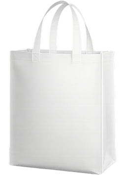 Shopping Bag